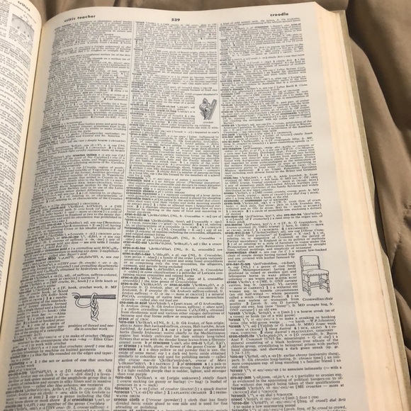 Webster’s Third New International Dictionary - Picture 7 of 8